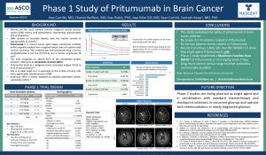 Phase 1 Study of Pritumumab in Brain Cancer